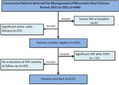 Progression of Mitral Regurgitation in Rheumatic Valve Disease: Role of Left Atrial Remodeling